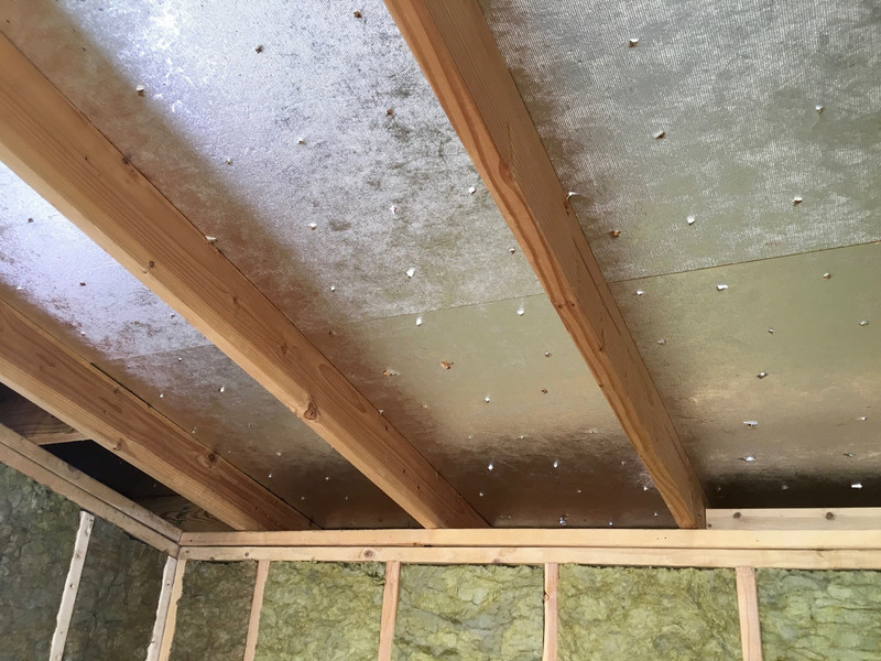 Solar Shed: Part 5: Roof Insulation